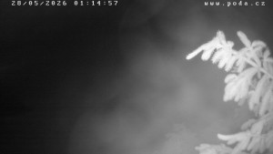 Ski klub Velké Meziříčí - Fajtův kopec - Sjezdovka - 28.5.2026 v 01:15 Ski klub Velké Meziříčí - Fajtův kopec - Sjezdovka - 28.5.2026 v 01:15
