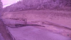 Marina Orlík