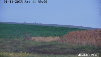 Snímek    1.11.2025 v 11:30