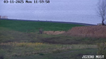 Snímek    3.11.2025 v 12:00