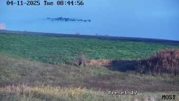 Snímek    4.11.2025 v 08:45