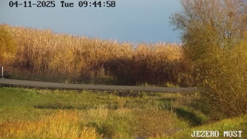 Snímek    4.11.2025 v 09:45