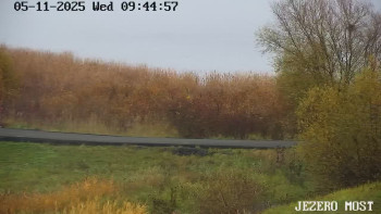 Snímek 5.11.2025 v 09:45