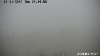 Snímek 6.11.2025 v 08:15