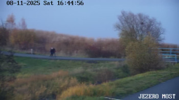 Snímek 8.11.2025 v 16:45