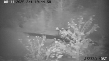 Snímek 8.11.2025 v 19:45