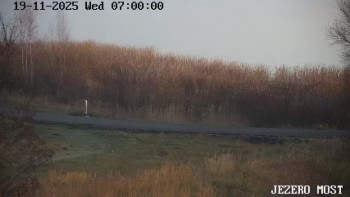 Snímek 19.11.2025 v 07:00