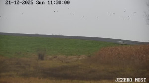 Město Most - Jezero Most - 21.12.2025 v 11:30 Město Most - Jezero Most - 21.12.2025 v 11:30