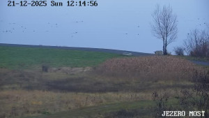 Město Most - Jezero Most - 21.12.2025 v 12:15 Město Most - Jezero Most - 21.12.2025 v 12:15