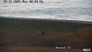 Město Most - Jezero Most - 29.12.2025 v 08:45 Město Most - Jezero Most - 29.12.2025 v 08:45