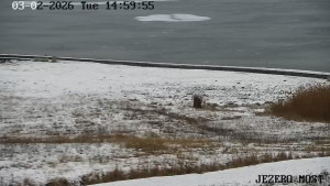 Město Most - Jezero Most - 3.2.2026 v 15:00 Město Most - Jezero Most - 3.2.2026 v 15:00