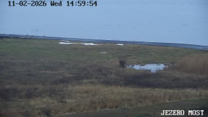 Město Most - Jezero Most - 11.2.2026 v 15:00 Město Most - Jezero Most - 11.2.2026 v 15:00