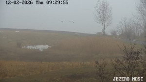 Město Most - Jezero Most - 12.2.2026 v 09:30 Město Most - Jezero Most - 12.2.2026 v 09:30