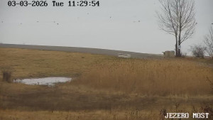 Město Most - Jezero Most - 3.3.2026 v 11:30 Město Most - Jezero Most - 3.3.2026 v 11:30