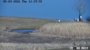 Město Most - Jezero Most - 5.3.2026 v 11:30 Město Most - Jezero Most - 5.3.2026 v 11:30