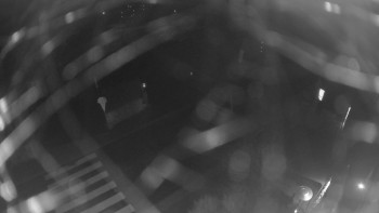 Snímek    3.11.2025 v 06:00