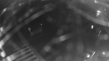 Snímek    3.11.2025 v 20:00