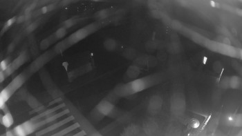 Snímek    3.11.2025 v 22:00