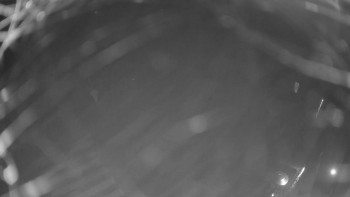 Snímek 5.11.2025 v 06:00