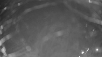 Snímek 6.11.2025 v 01:00