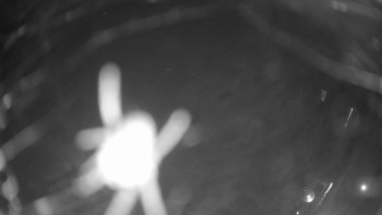 Snímek 6.11.2025 v 02:00