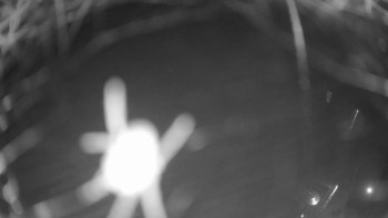 Snímek 6.11.2025 v 03:00