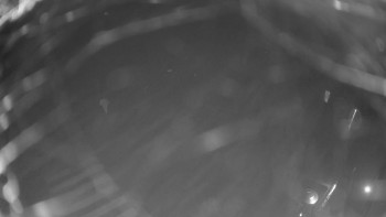 Snímek 6.11.2025 v 04:00