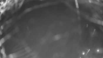 Snímek 6.11.2025 v 05:00