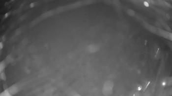 Snímek 7.11.2025 v 03:00