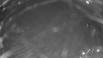 Snímek 7.11.2025 v 06:00