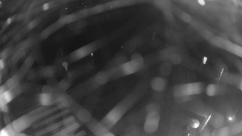 Snímek 7.11.2025 v 18:00