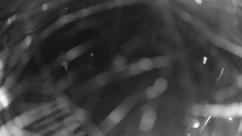 Snímek 7.11.2025 v 19:00