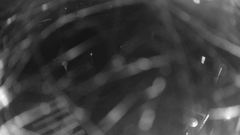 Snímek 7.11.2025 v 20:00