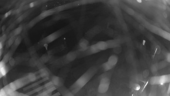 Snímek 7.11.2025 v 21:00