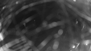 Snímek 7.11.2025 v 22:00