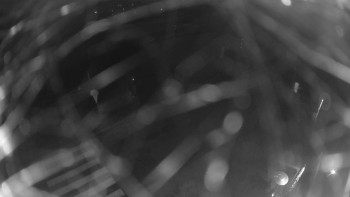 Snímek 7.11.2025 v 23:00