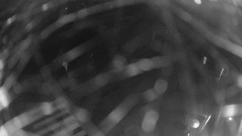 Snímek 8.11.2025 v 02:00