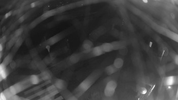 Snímek 8.11.2025 v 04:00