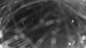 Snímek 8.11.2025 v 22:00