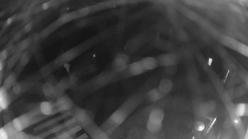 Snímek 8.11.2025 v 23:00