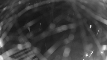 Snímek 9.11.2025 v 06:00