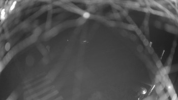 Snímek 14.11.2025 v 05:00