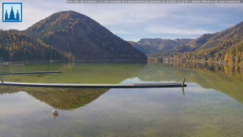 Snímek    31.10.2025 v 13:15