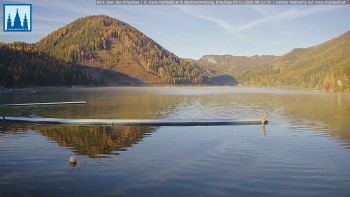 Snímek 5.11.2025 v 08:15