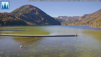 Snímek 6.11.2025 v 11:45