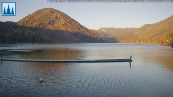 Snímek 7.11.2025 v 07:30