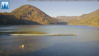 Snímek 7.11.2025 v 08:30