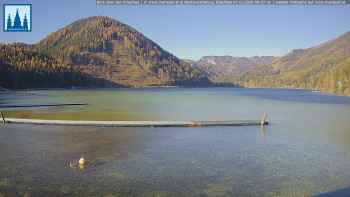 Snímek 7.11.2025 v 09:30