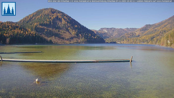 Snímek 7.11.2025 v 10:45