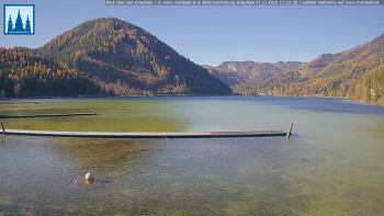 Snímek 7.11.2025 v 11:15